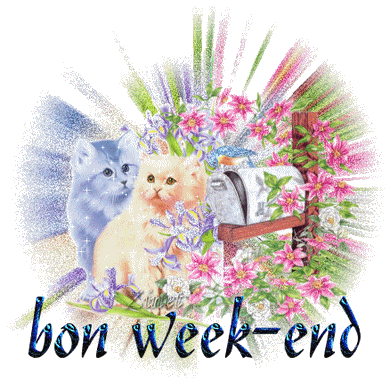 bon week-end (1)