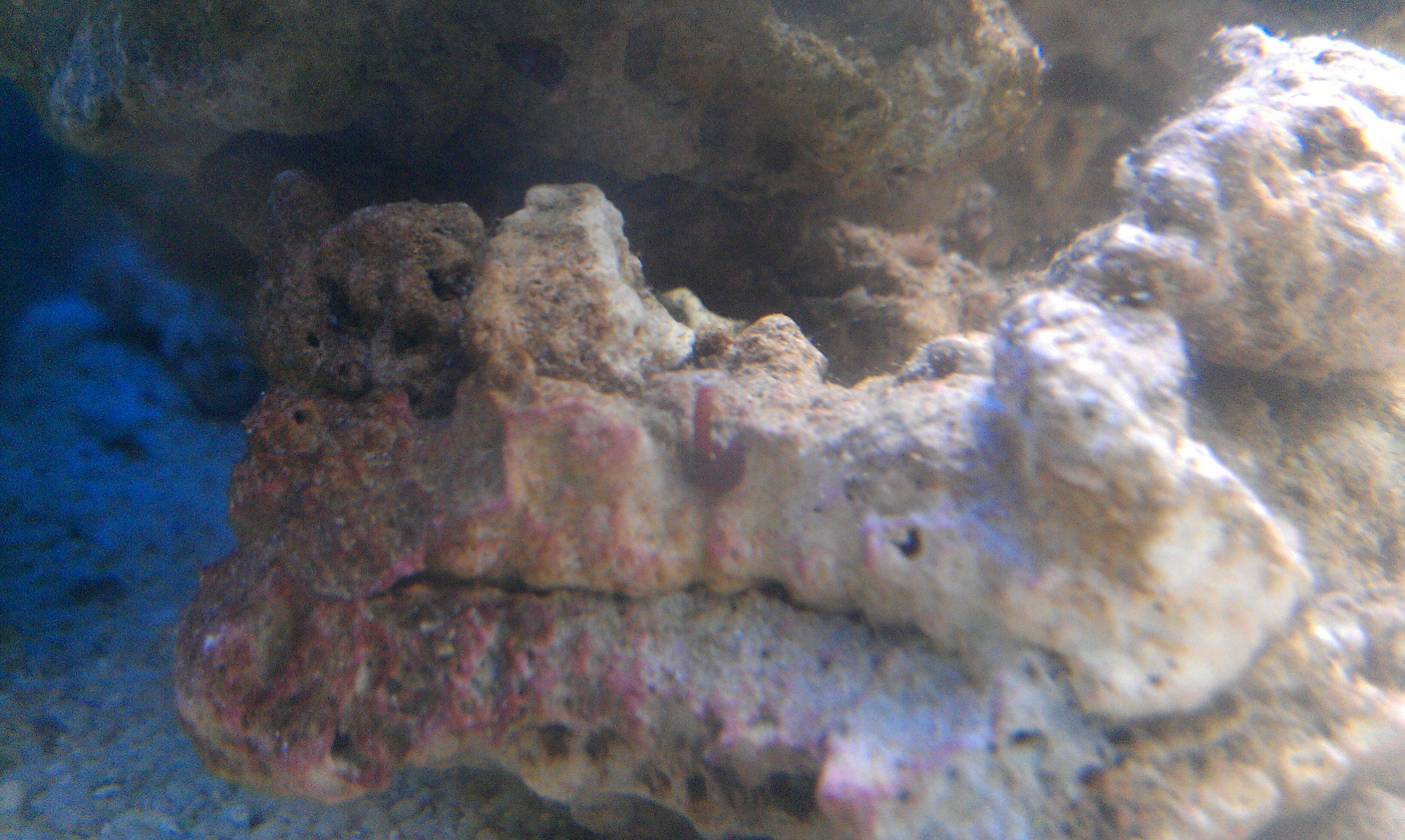 IMAG0363