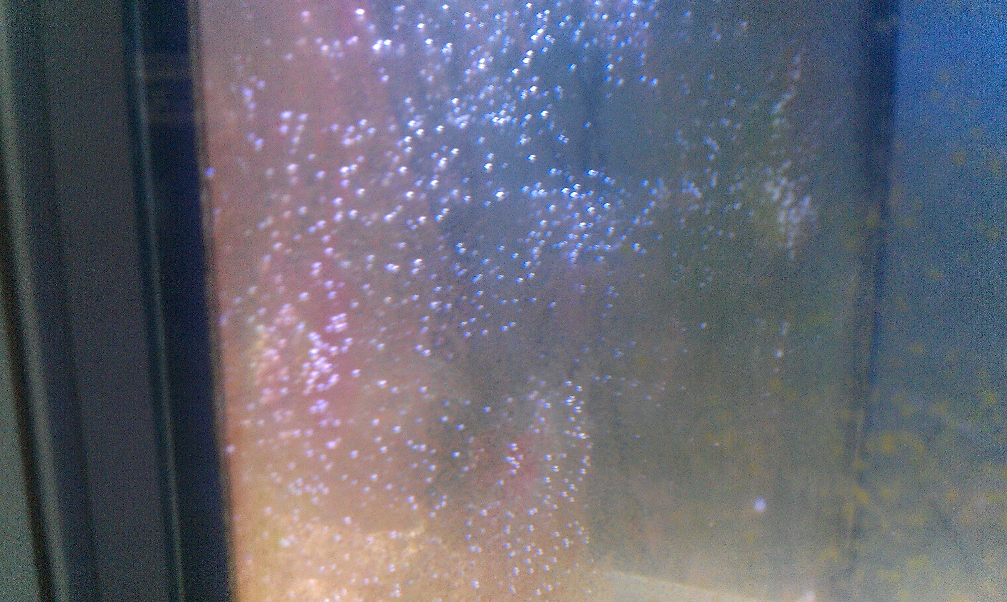 IMAG0368
