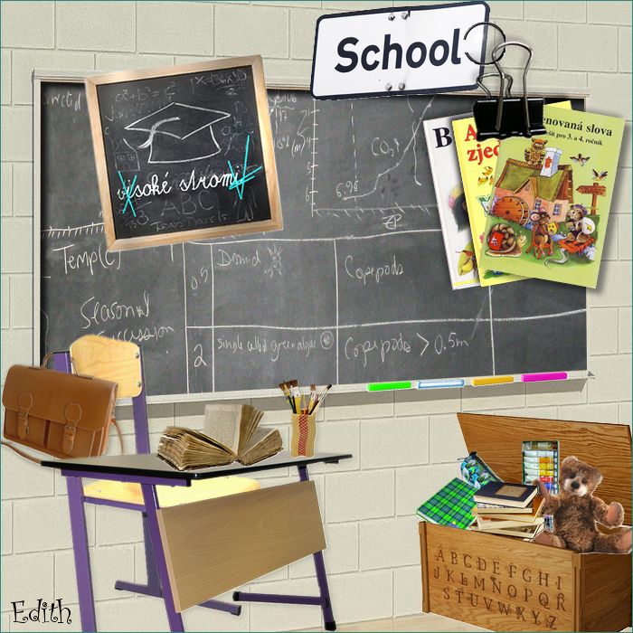 5 ecole