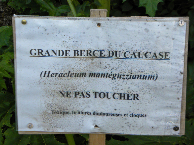 hebergeur image
