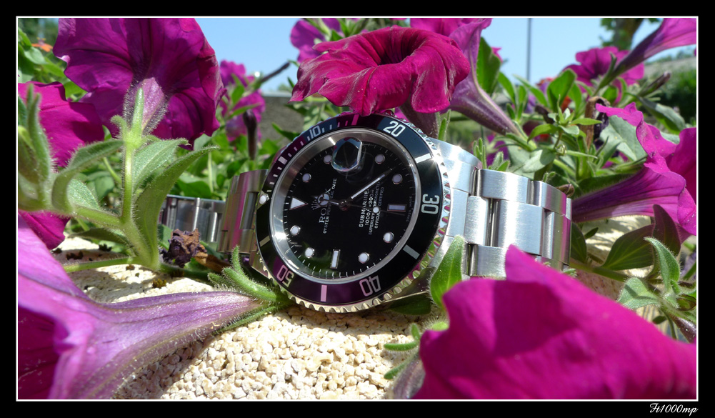 Dites-le avec des fleurs... 1109280649441388898811002