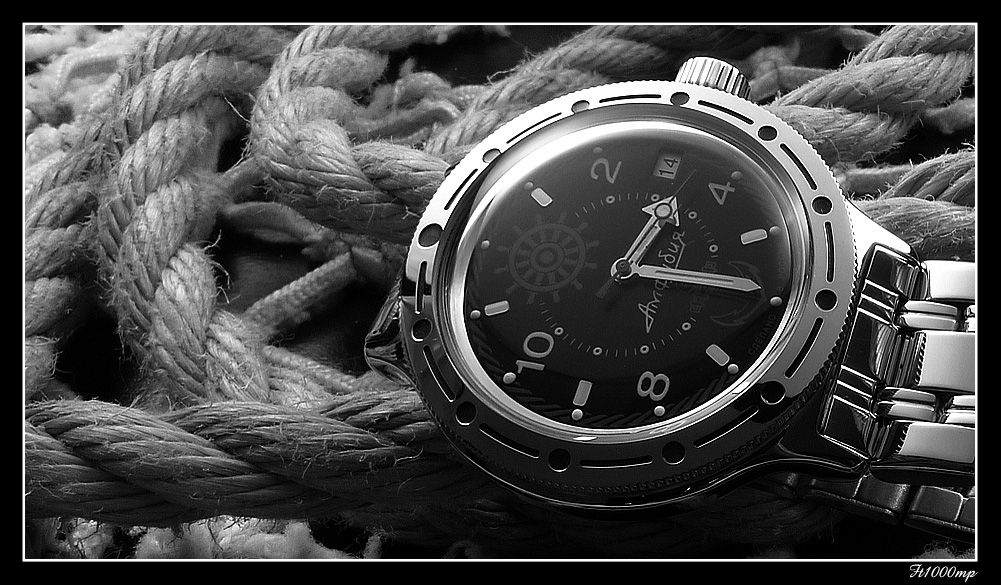 [PACKSHOT] Vostok Amphibian modèle dit "Zissou" par les puristes.... 1109280707511388898811134