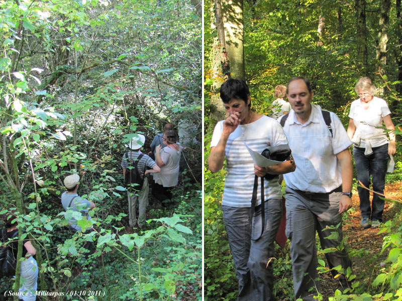 Sortie au Bois-le-Prêtre le 1er octobre 1110041029391391238841644