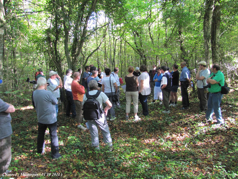 Sortie au Bois-le-Prêtre le 1er octobre 1110041029441391238841648