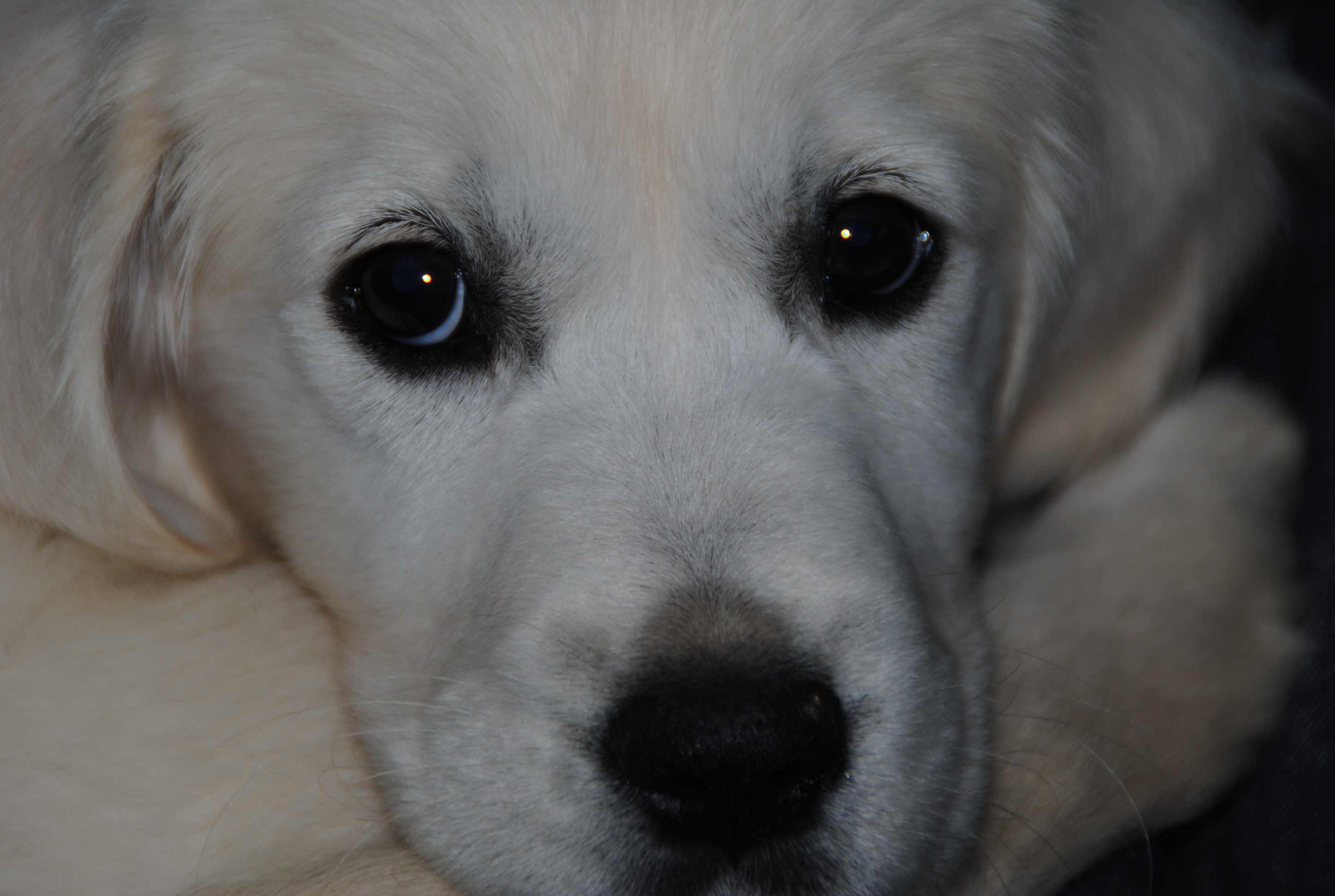 Si s&eacute;rieuse...