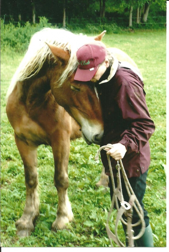 Concours Photo Novembre : Le Cheval et l'Humain, en toute Complicité