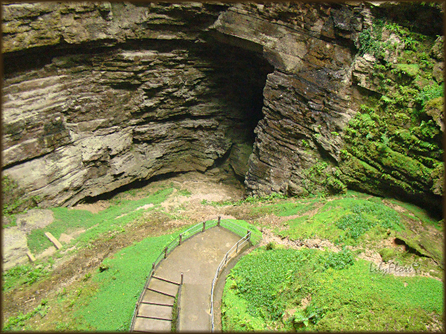 hebergeur image