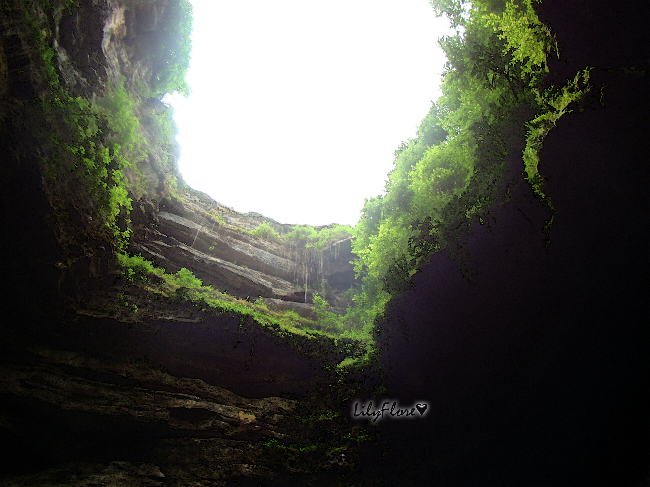 hebergeur image