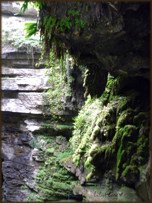 hebergeur image