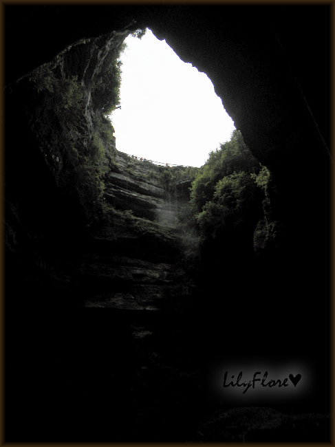 hebergeur image