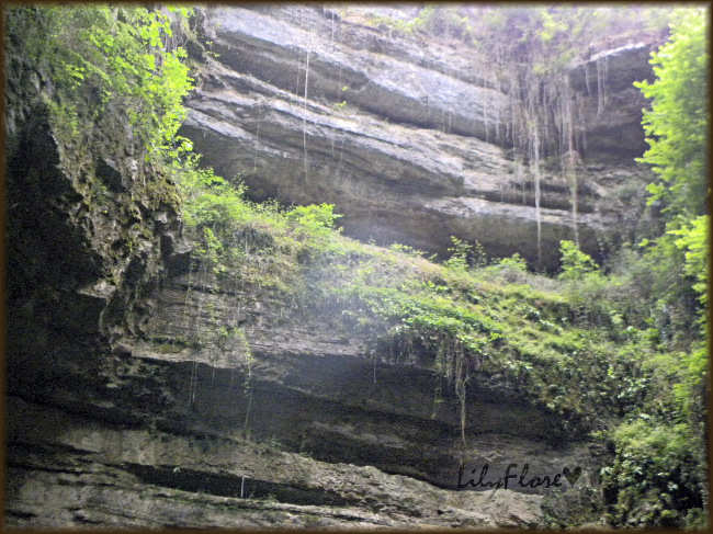 hebergeur image
