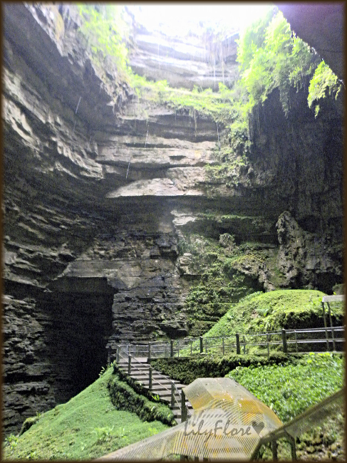 hebergeur image