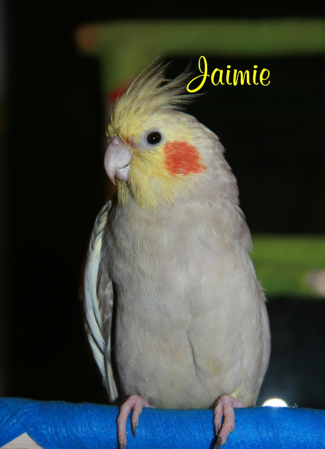 photoCarte