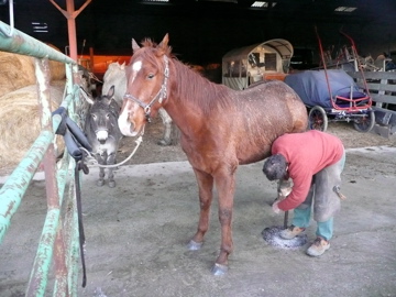 USHER adopté scampinette - Page 3 1112140904301423329179099