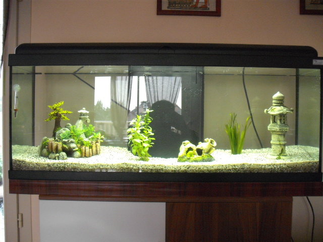 aquarium