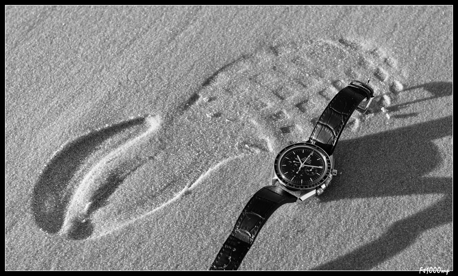 La montre du Vendredi 11 Janvier 2013 1201010930591388899241761