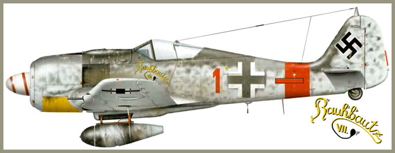 [Concours avions allemands WWII] Focke Wulf Fw 190 A8/R2 - Tamiya - 1/48 120107071433558509270915