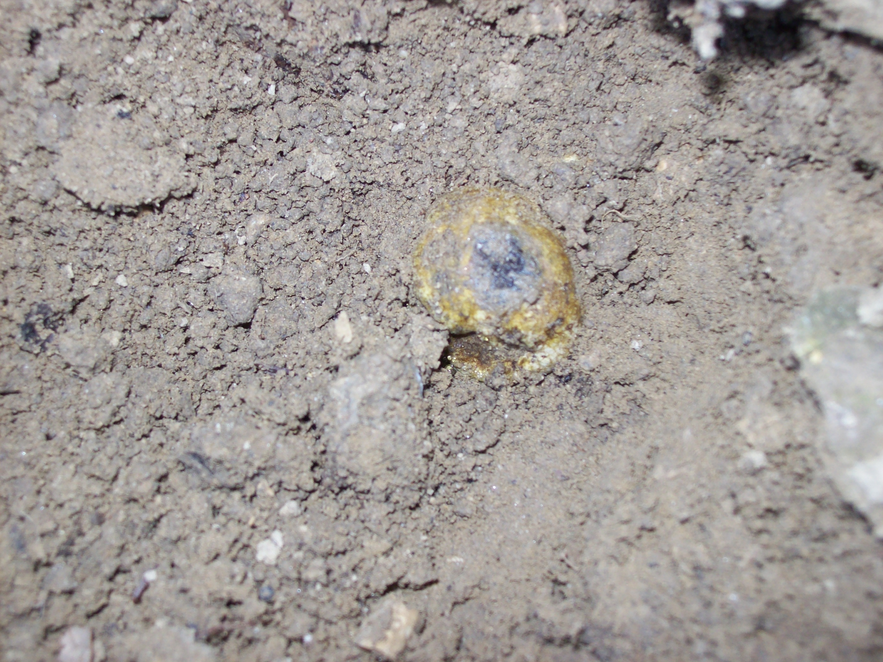 la cause de la marqu