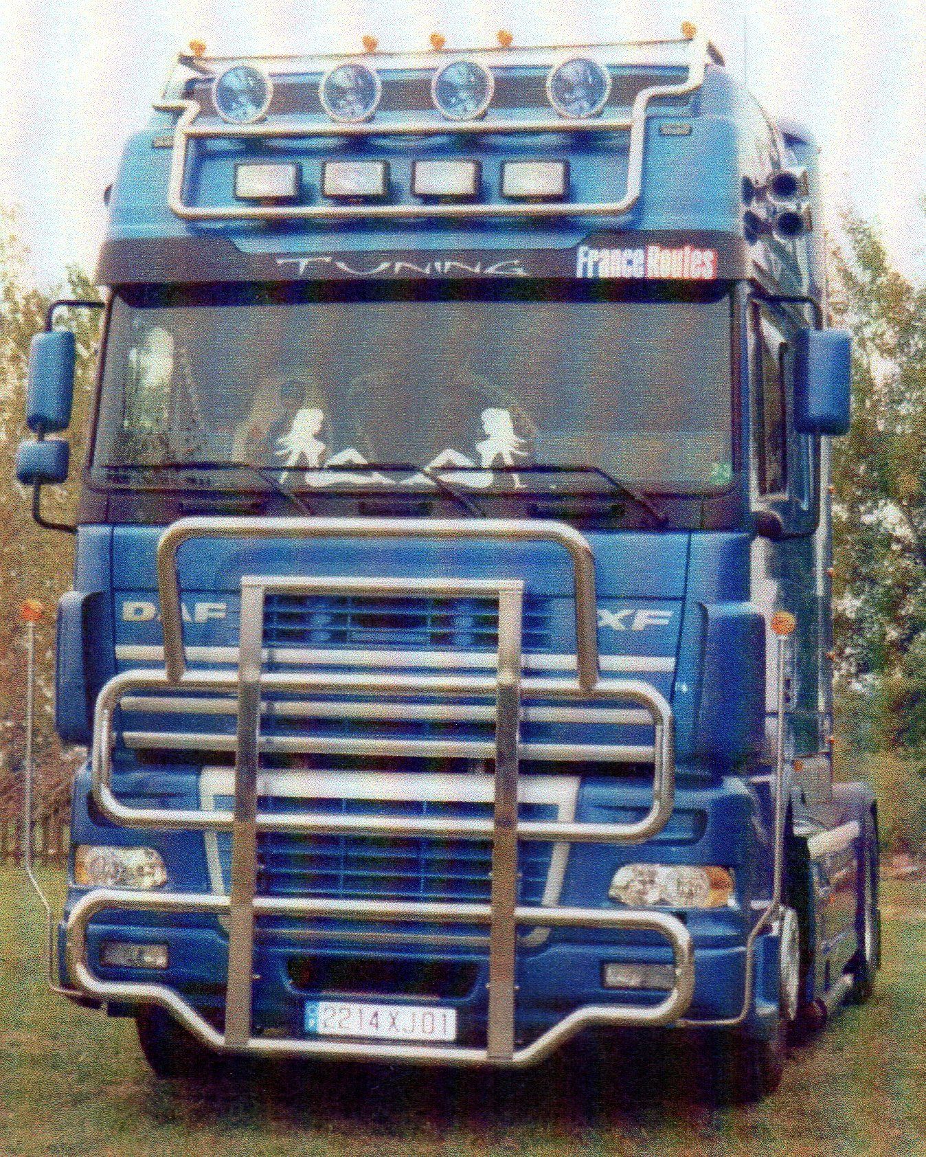 pare buffle camion1