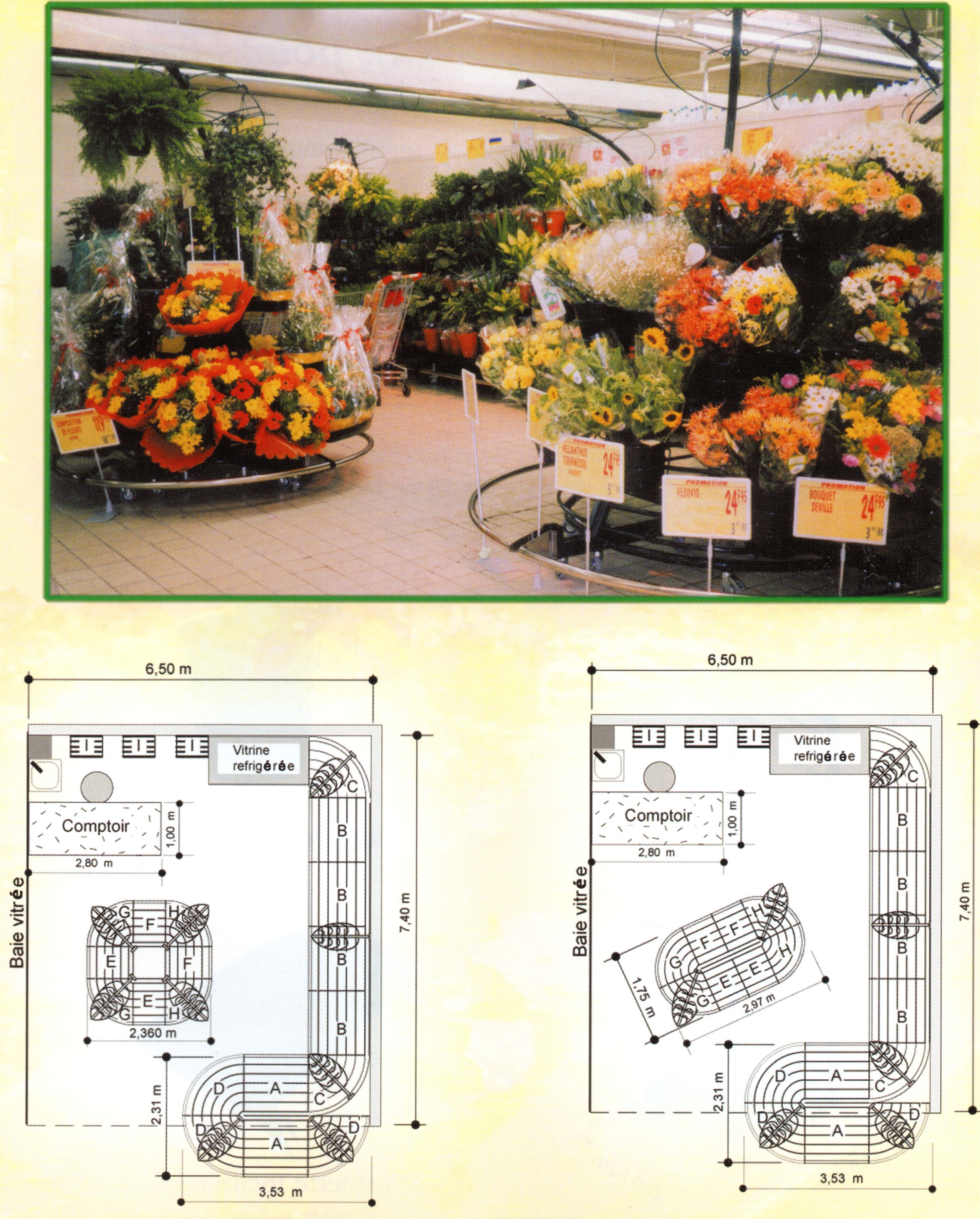 grande distri fleurs