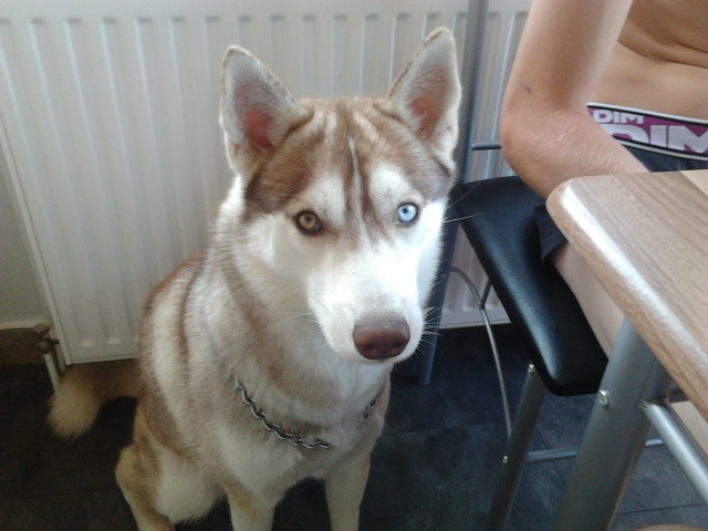 Photo0076