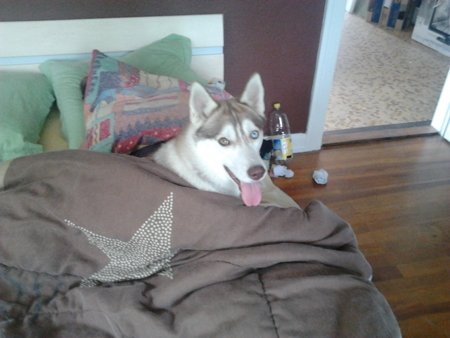 Photo0047