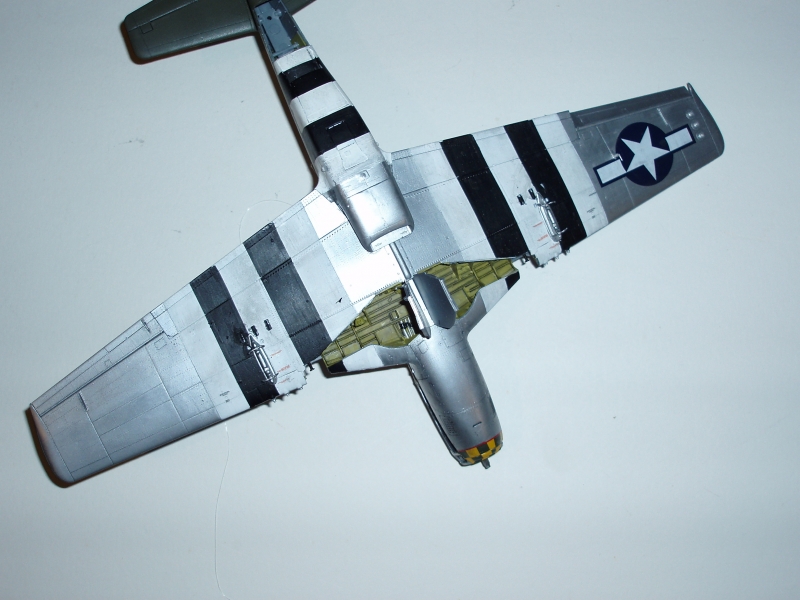 [TAMIYA] 1/32 - NORTH AMERICAN P-51D MUSTANG  - Page 5 120305114508856639535970