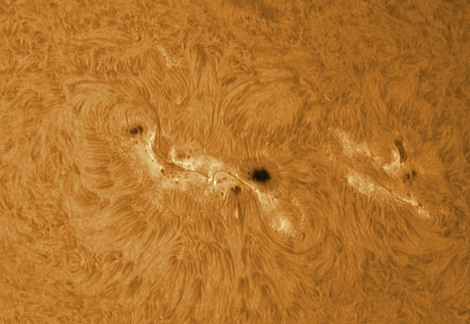 AR1429 
