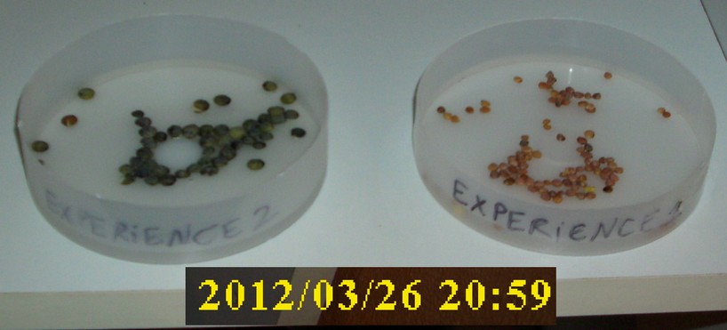 26-03-2012_experience1-2