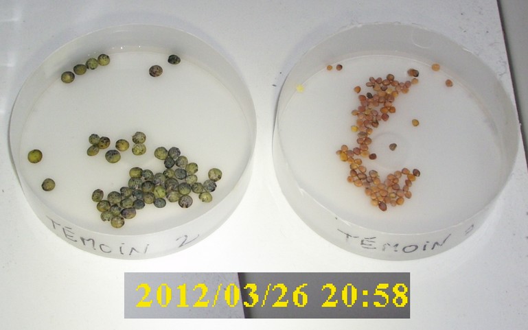 26-03-2012_temoin1-2