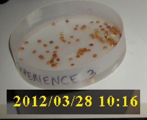 28-03-2012_experience3