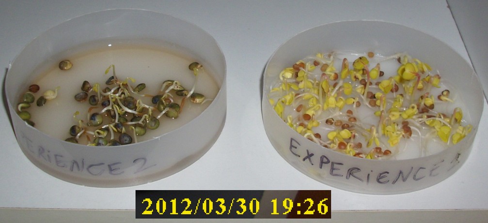 30-03-2012_experience1-2