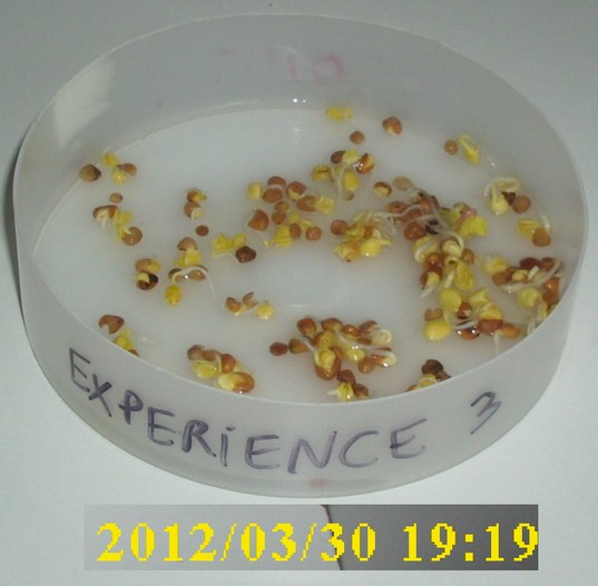 30-03-2012_experience3