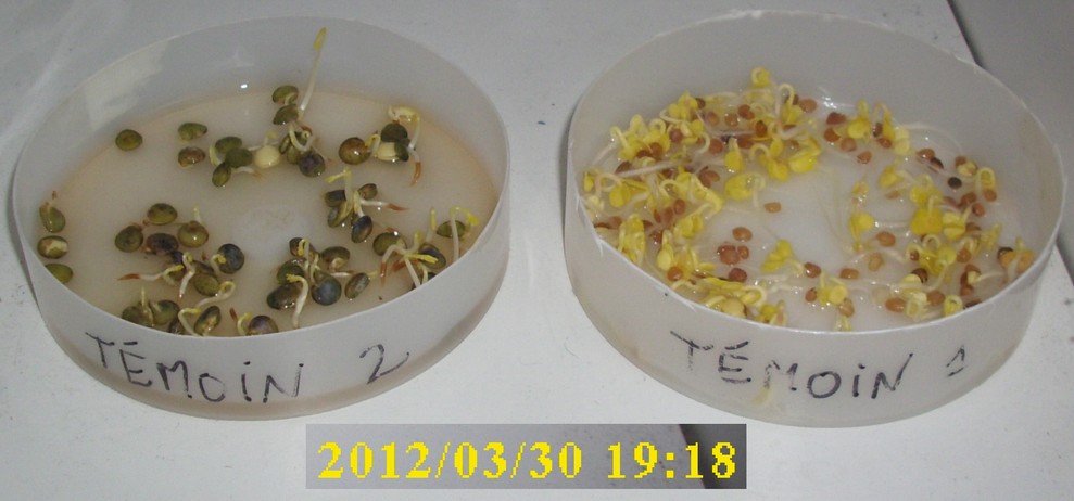 30-03-2012_temoin1-2