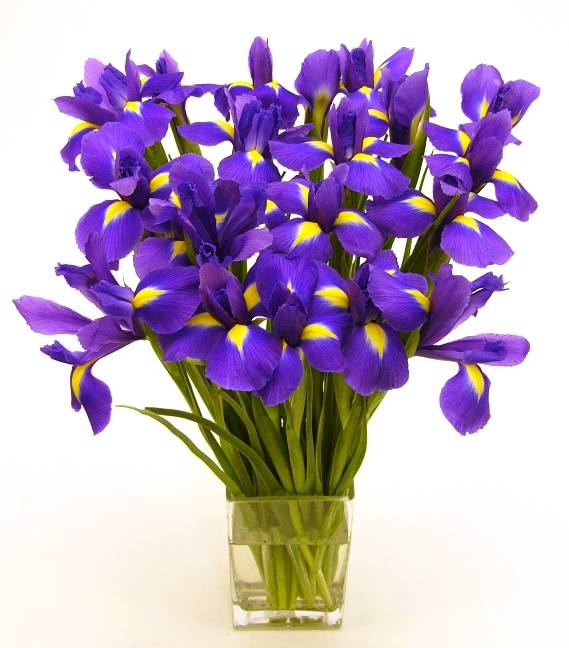 joli bouquet violet de Nelly kdo