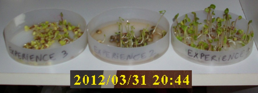 31-03-2012_02experience1-2-3_dessus02