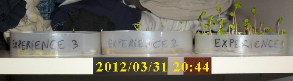 31-03-2012_02experience1-2-3_profil02