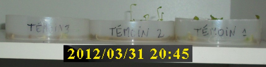 31-03-2012_02temoin1-2-3_profil02