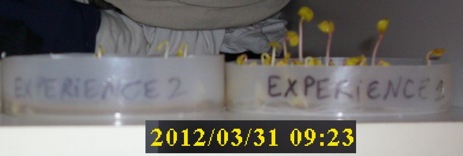 31-03-2012_experience1-2_profil