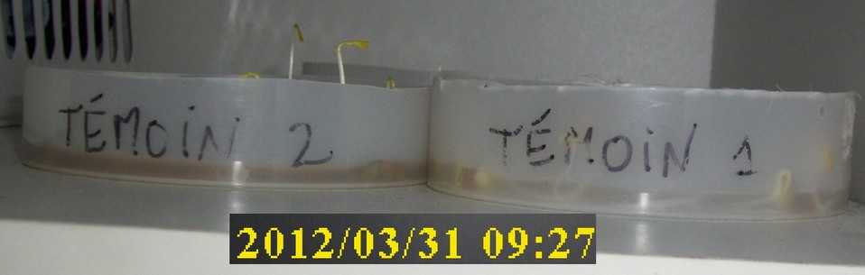 31-03-2012_temoin1-2_profil