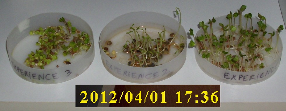 01-04-2012_experience1-2-3