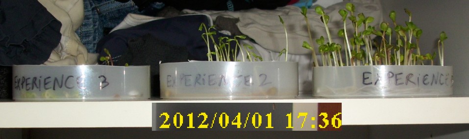 01-04-2012_experience1-2-3_profil