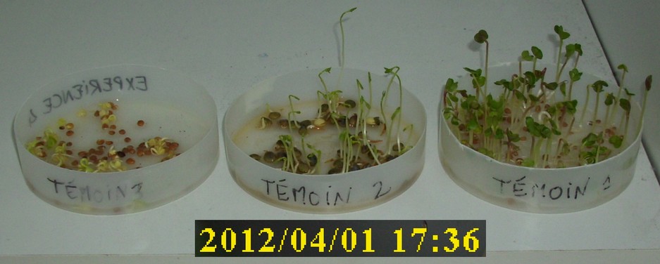 01-04-2012_temoin1-2-3