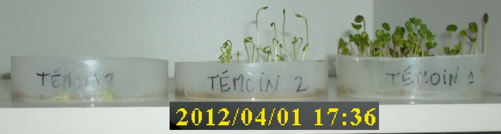 01-04-2012_temoin1-2-3_profil