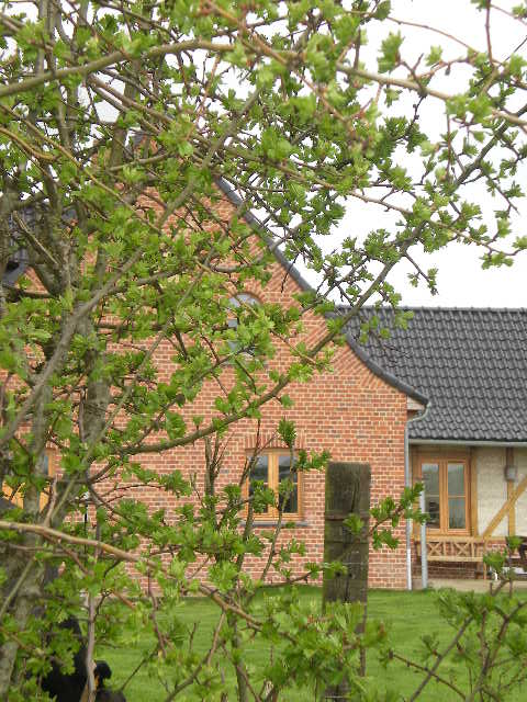 Nieuwe traditionele huizen in Frans-Vlaanderen 1204100542421419619700793