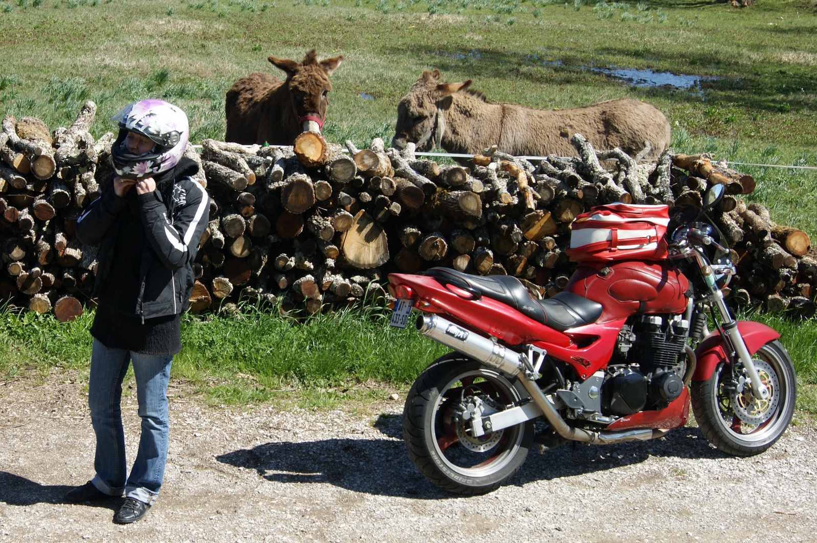 Les compagnons de Gaïa 1204240923051224699762805