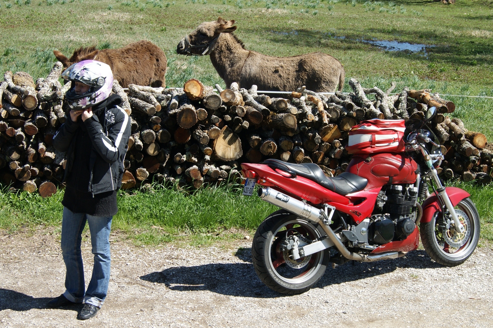 Les compagnons de Gaïa 1204240923061224699762806