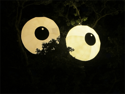 cock-eyed-night3