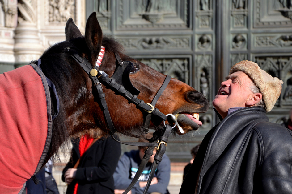 « Mon néant, pour un cheval ! »  André Velter 1204291009471272809784635